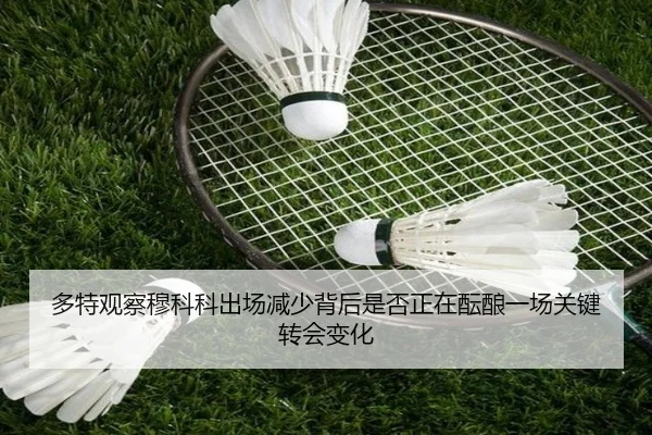 多特观察穆科科出场减少背后是否正在酝酿一场关键转会变化